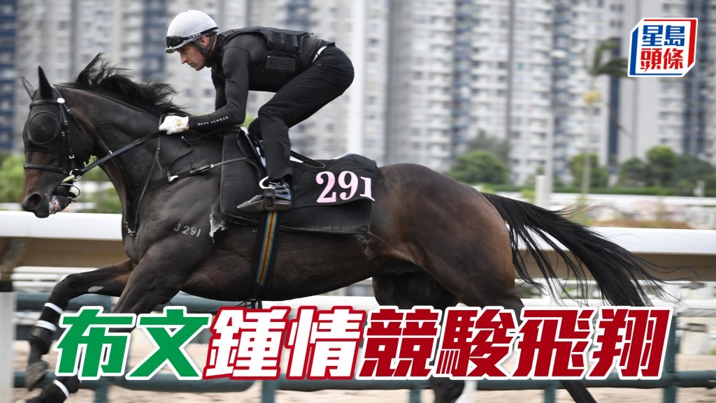 布文除專誠提早現身為「競駿飛翔」出試外，出試期間更多次拍馬頸以示鼓勵，鍾愛之情溢於言表。