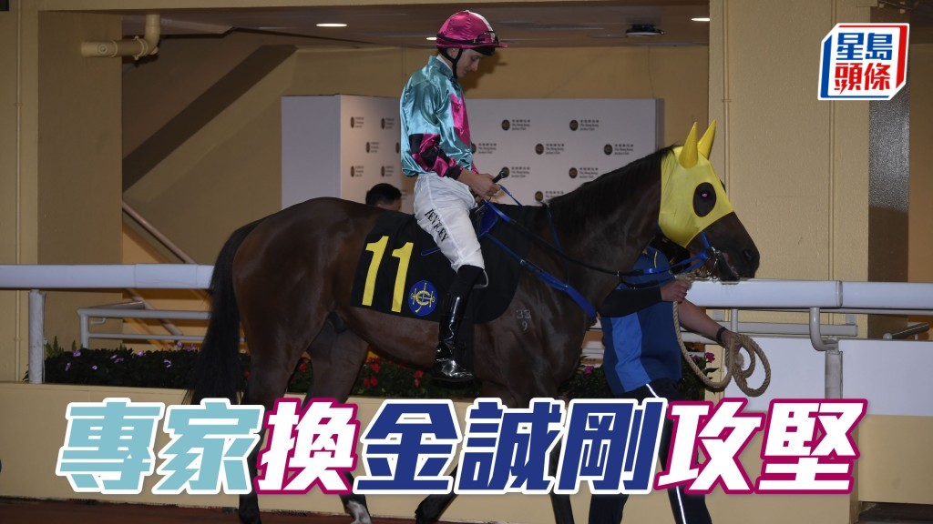 「专家」(图) 换上金诚刚操刀，丁冠豪季内交予不少机会马给骑者攻坚，且终于排得较佳的五档，相信幕后必把握机会争胜。