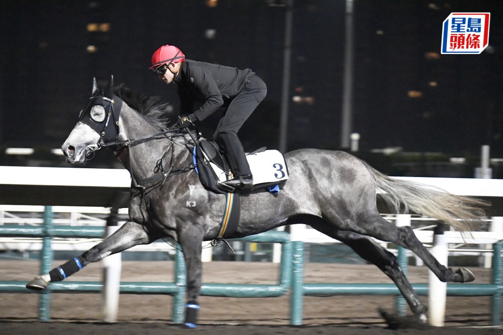 「轻功猛男」出脚轻爽马身够壮，火气不俗状态对办。