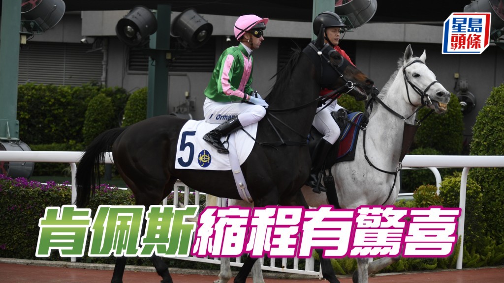 「肯佩斯」曾佩戴交叉鼻箍試閘,直路稍騎即交出後勁,今仗縮程可望帶來驚喜。