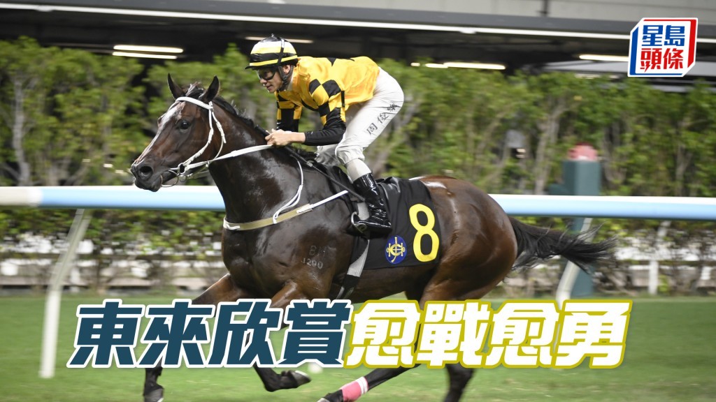 「东来欣赏」状态仍在勇境，升班也有力再下一城。