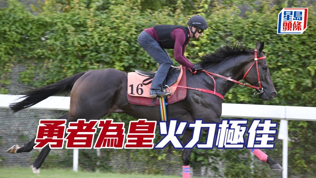 「勇者為皇」洒開大步順走威風凜凜，馬身脹卜卜。