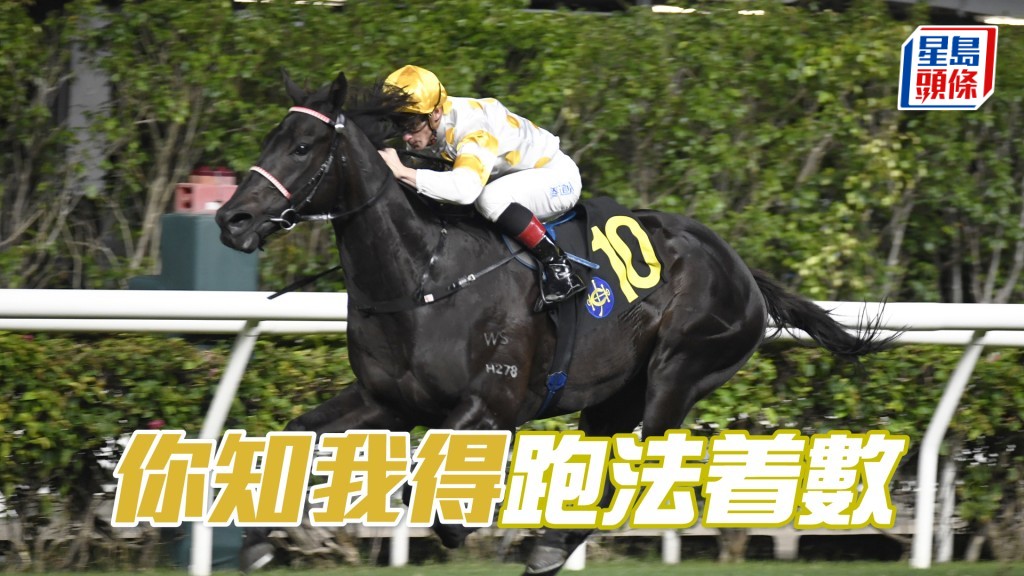 「你知我得」今仗有机会慢放，形势有利。