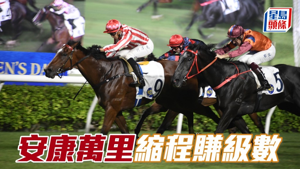 「安康萬里」今仗縮程出戰，有望賺到級數。