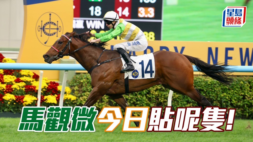 「扶搖勢勁」更剛強