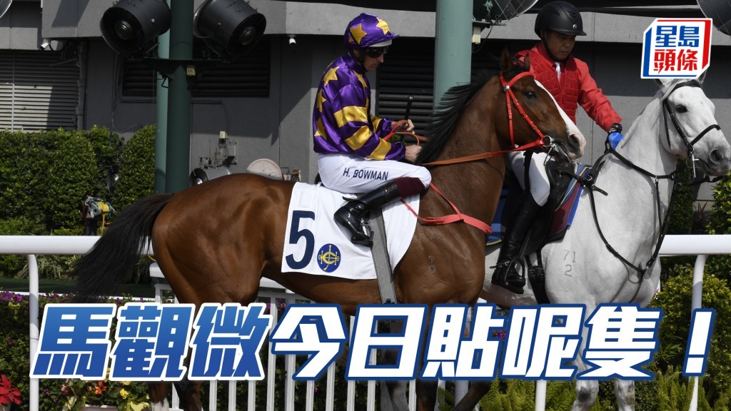 「神馳」上仗在四班田草千二米熱身之後，再積極打磨了三個禮拜。今仗列陣第五場田草千四米，乃全力出擊之時。