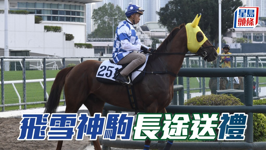 艾兆禮表示今仗將是「飛雪神駒」收復前失，爭取在港首捷的好機會。