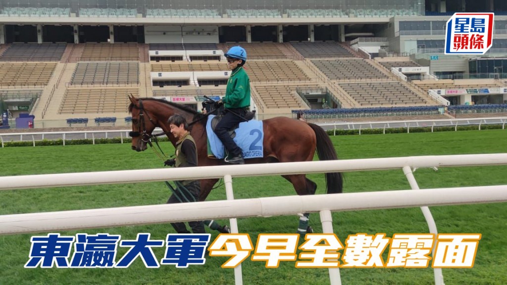 今届香港国际赛七匹日本参战马，全数都有露面，其中列阵香港杯的「宝徕歌剧」(图) 由练马师上村洋行亲自策骑，在沙田马场草地跑道上快跳。