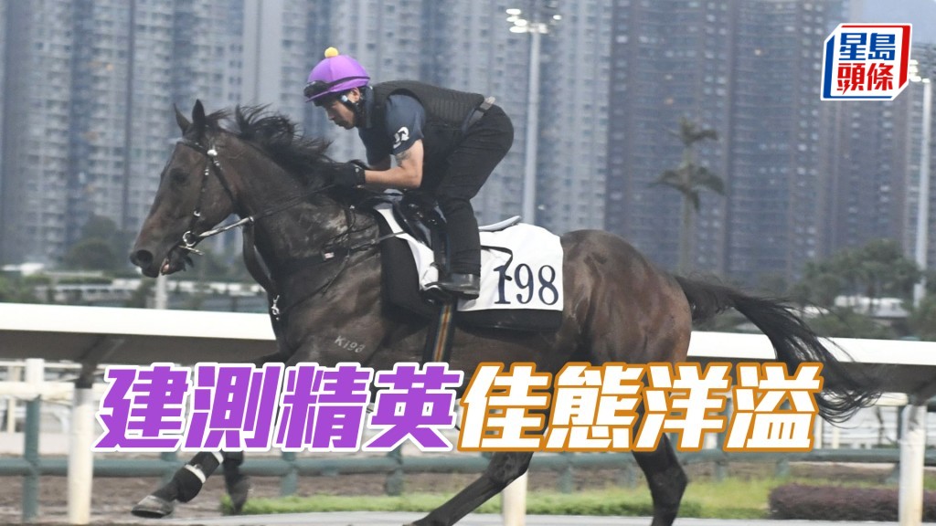 「建測精英」步伐穩健力度足夠，雙目炯炯有神。