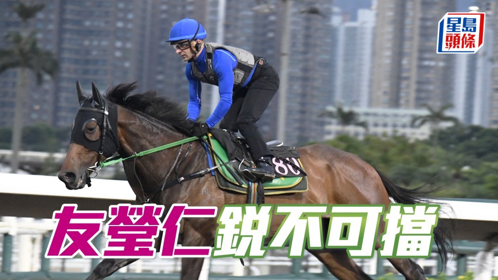 「友瑩仁」大步而馳極具威勢，火旺神生走勢爽。