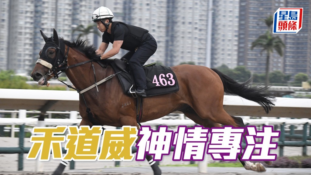 「禾道威」跨步爽朗勁度夠，馬身愈來愈札實。