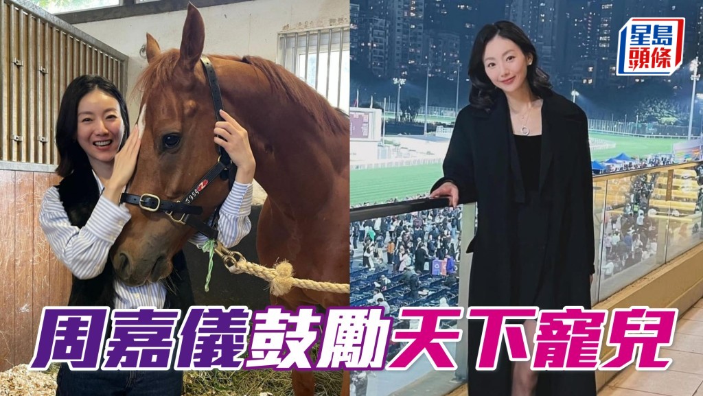 刚周五前新闻女主播周嘉仪前往马房，为爱驹「天下宠儿」打打气，给牠一些鼓励。