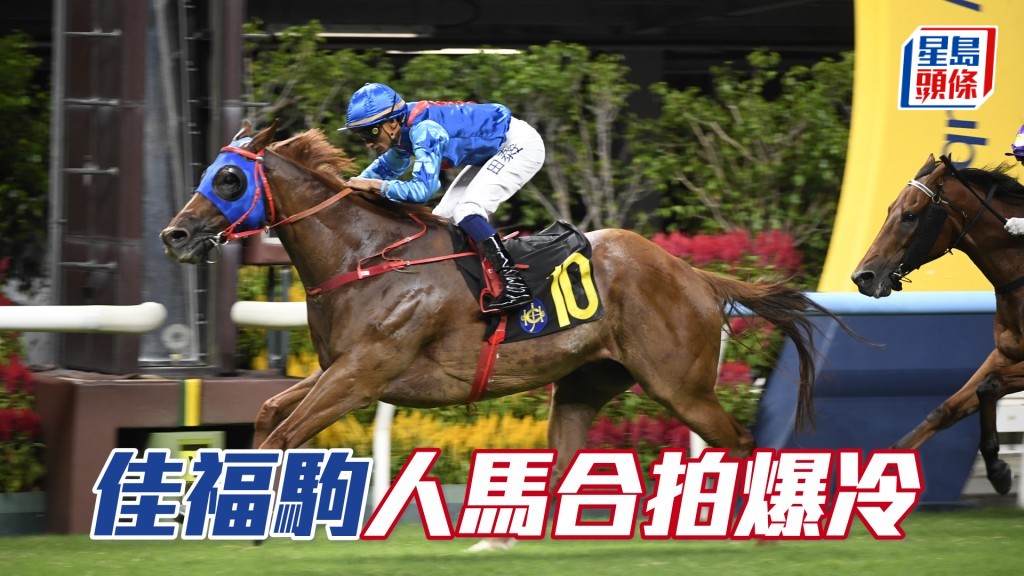 「佳福駒」人馬合拍爆冷