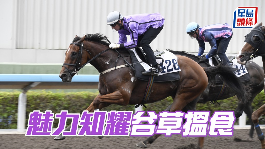 「魅力知耀」居三班負輕榜，排七檔贏面甚大。