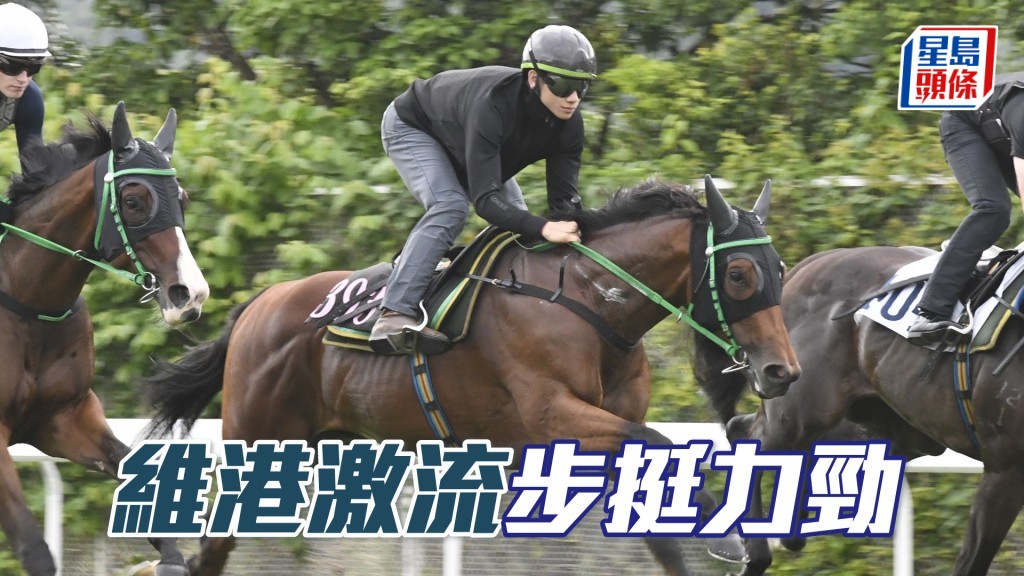 「維港激流」扣住而馳身又夠壯，去番最佳時候。