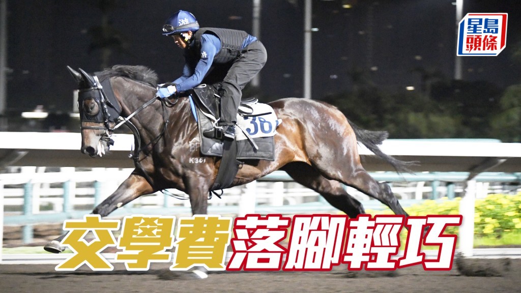 「交学费」跑姿顺畅马身好壮，进度转趋理想。