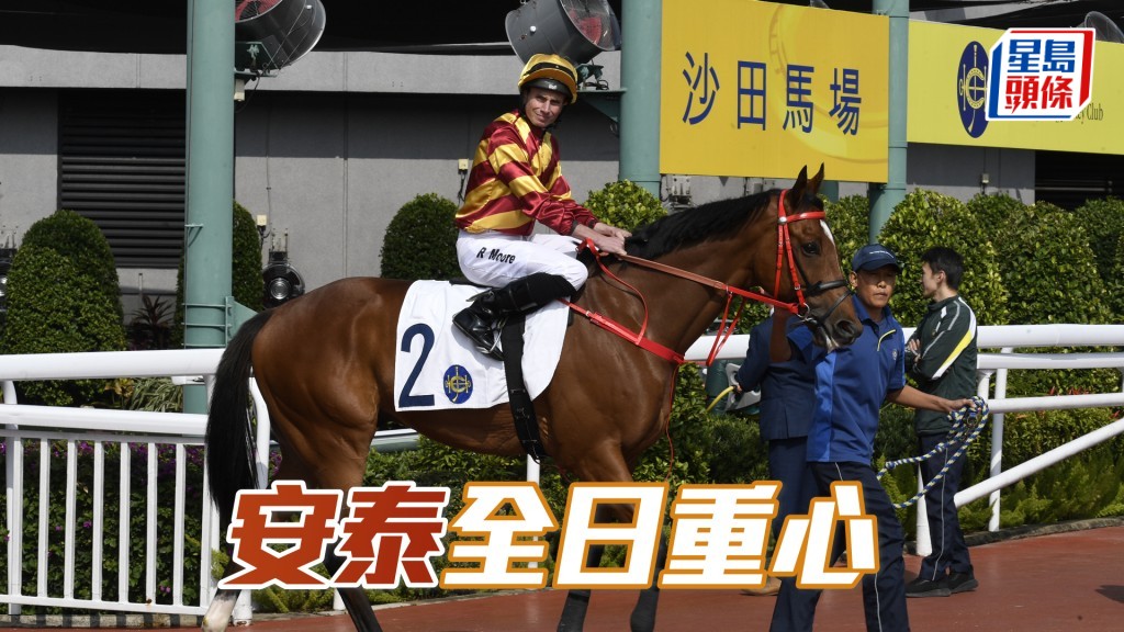 「安泰」潘頓熟悉馬性,應會一如上季302贏馬擺前走。