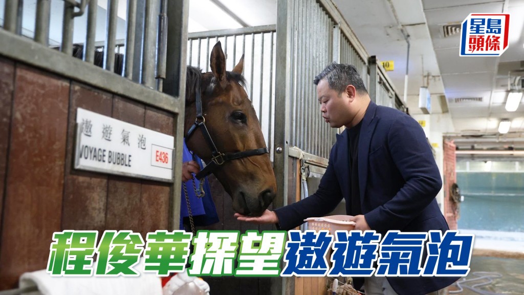 程俊華今日入馬房探望「遨遊氣泡」，並親自餵愛駒食紅蘿蔔以示獎勵。