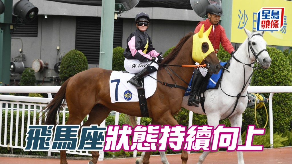  「飞马座」将出战明日第九场三班千二米。