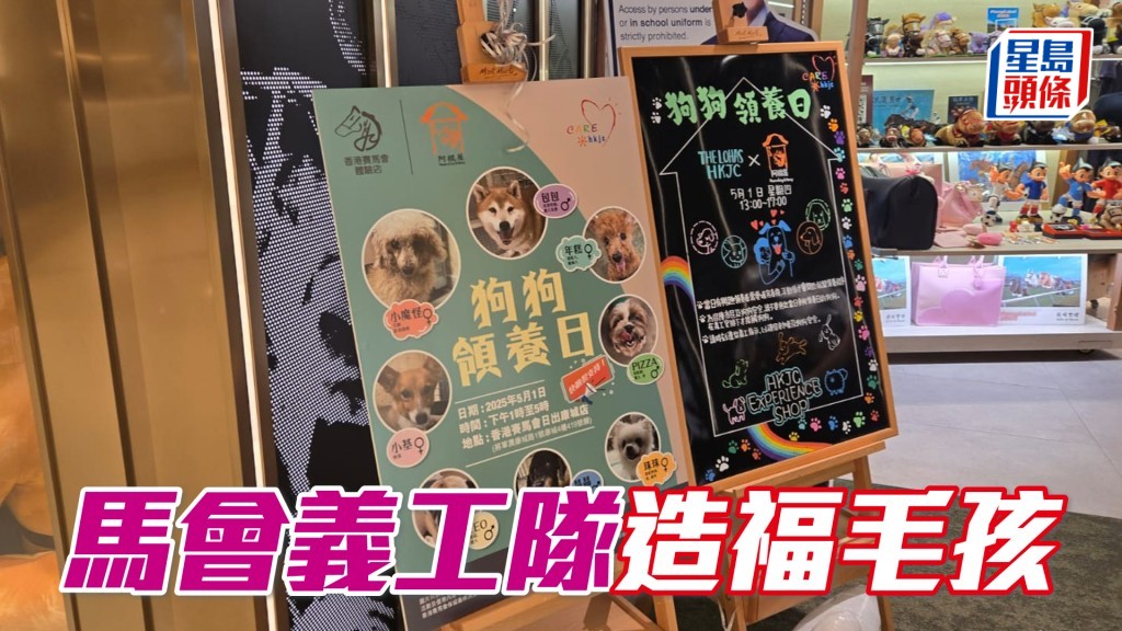 香港賽馬會剛在周日與阿棍屋合作,在體驗店場內舉辦領養狗狗活動。