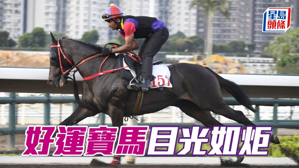「好運寶馬」神色活躍火氣仍盛。