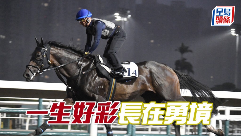 「一生好彩」步顺轻快充满弹力，马身保持壮健。