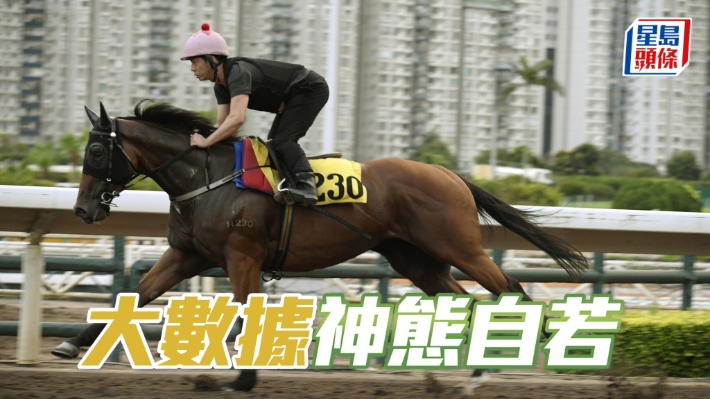 「大數據」輕描淡定完成，馬身靚且力度充足。