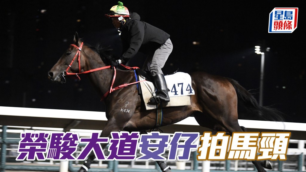 「榮駿大道」出試時安仔多次拍馬頸鼓勵之餘，出跳前葉楚航走出跑道口教路，正正是練者一貫搏殺動靜。(資料圖片)