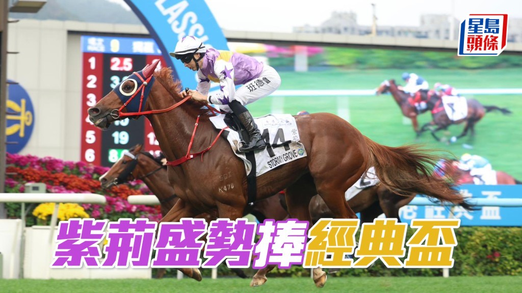 「紫荊盛勢」捧經典盃