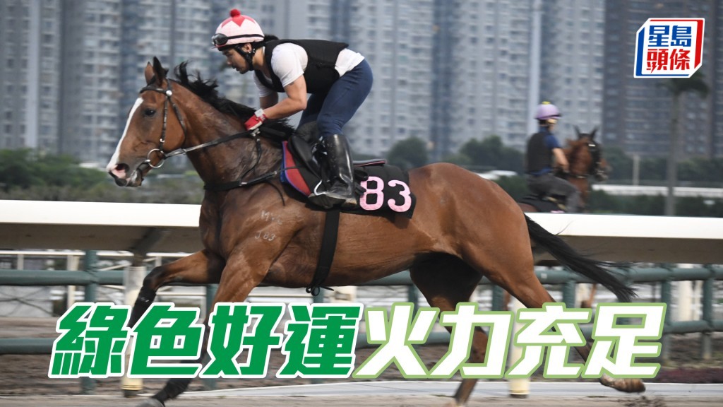 「綠色好運」近日試來專注又夠活躍，火力充足，狀態吸引不已。