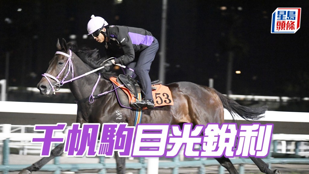 「千帆駒」出腳俐落流暢，勝後再進一步。