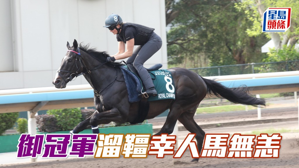 马场浮世绘｜「御冠军」溜缰幸人马无恙