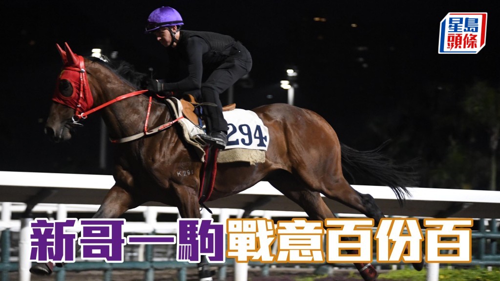 湯普新為了「亨驥」(圖) 失去「友福」系馬策騎權,今次分分鐘最後一次為「亨驥」披甲,戰意一流。