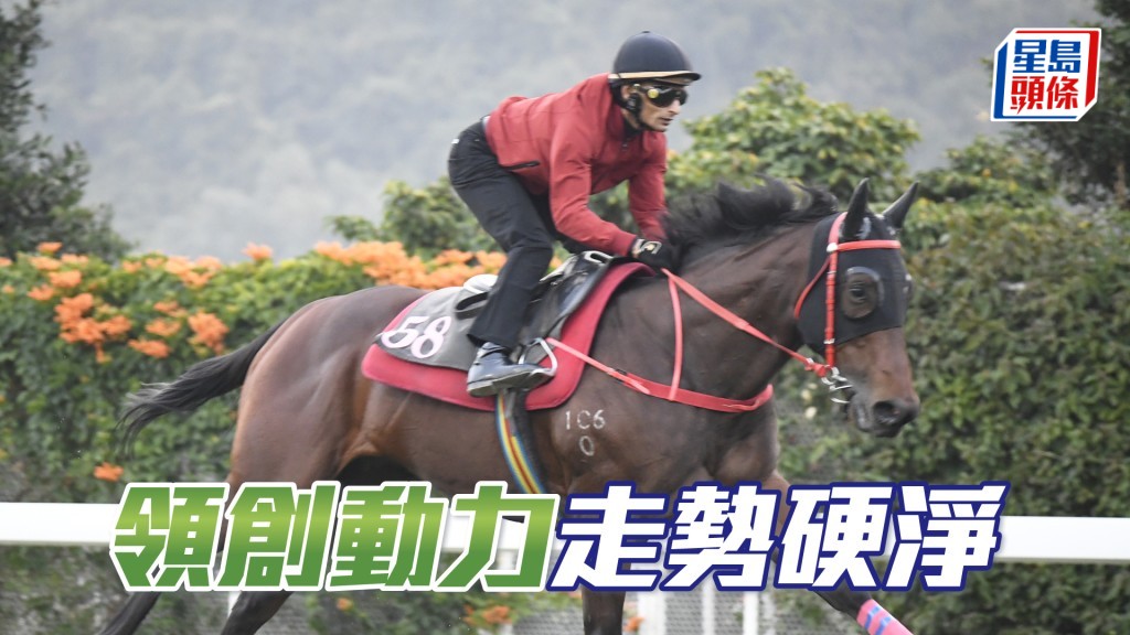 「领创动力」四蹄尽展弹力十足，弗到不得了。
