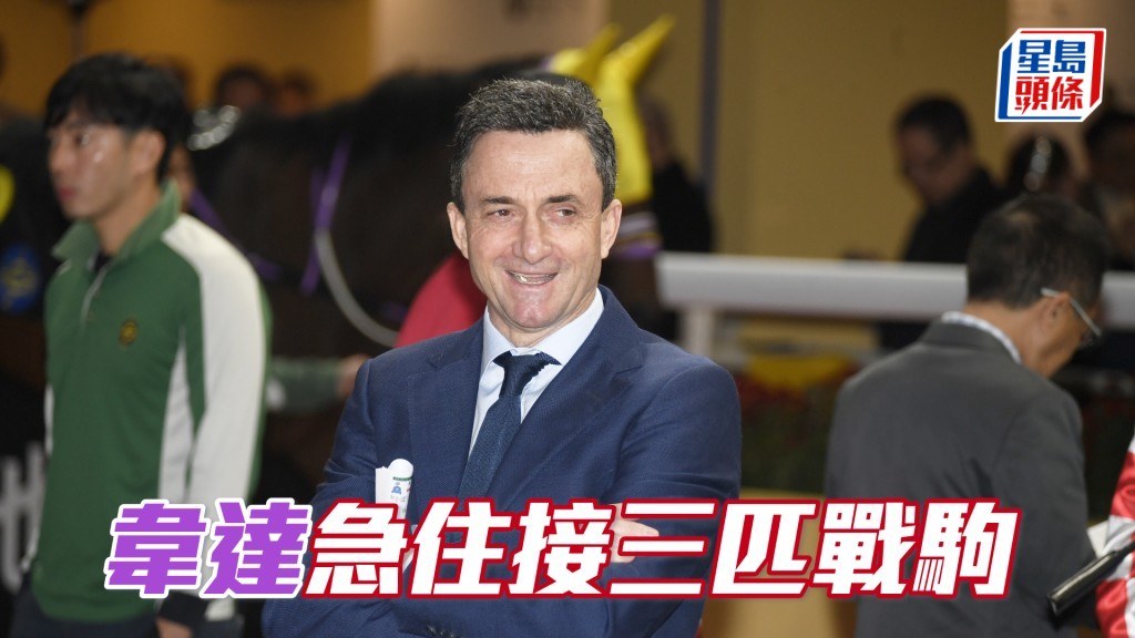 「踏雪寻梅」、「韦金主」同「美狮鱼」今朝课后韦达罕见到马房大闸口接马。