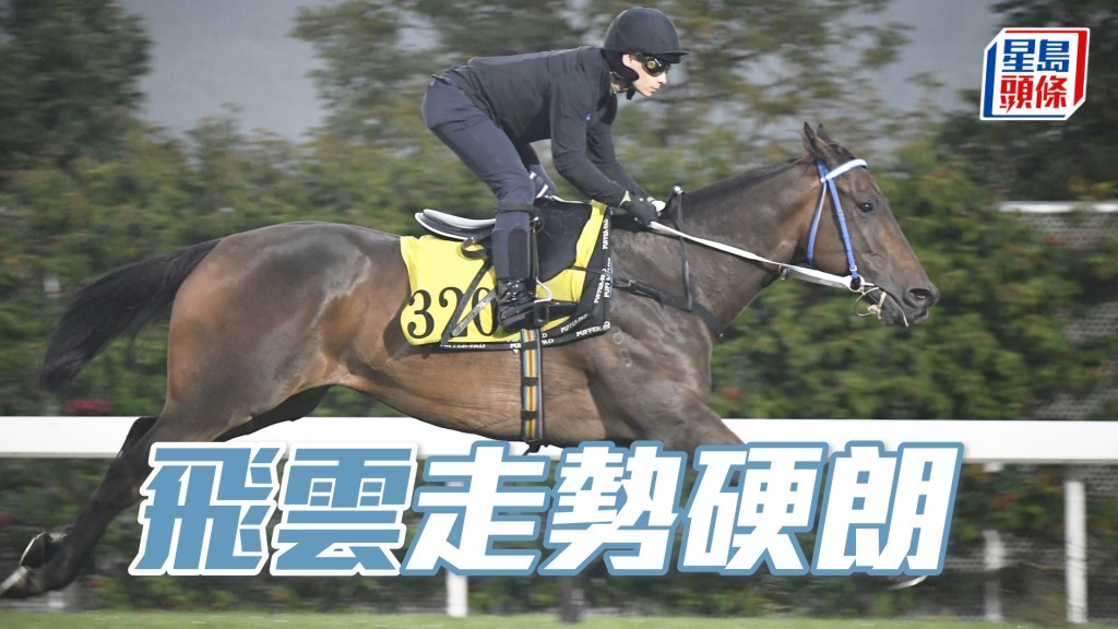 「飛雲」步挺開揚神態活潑，毛色亮麗仍具好感。