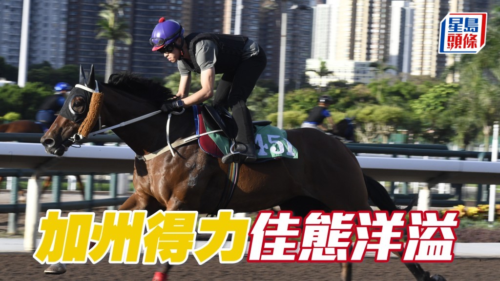 「加州得力」近日出試時出腳輕巧有彈力，佳態洋溢。