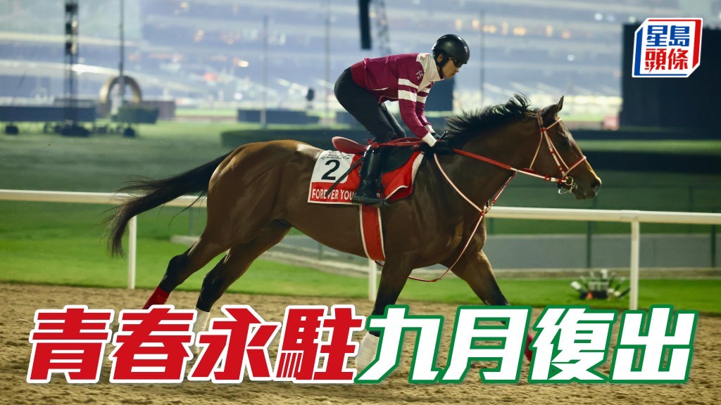馬場浮世繪│「青春永駐」九月復出 競逐泥地賽馬會金盃
