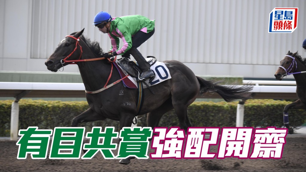 「有目共賞」在港兩戰仗比仗近，今場由世一麥道朗壓陣，大有機會打開在港勝利之門。