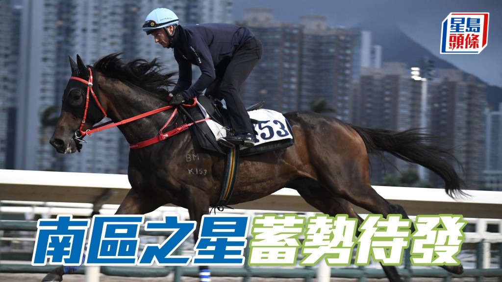 「南區之星」(圖) 戴頭罩由潘頓跳兩段，細粒仔步法靈活，馬身結實好靚，操足蓄勢待發。