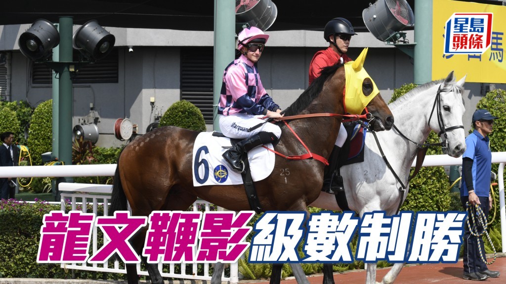 「龍文鞭影」試閘較前更有力,今場對手實力一般,有力爭取三甲。