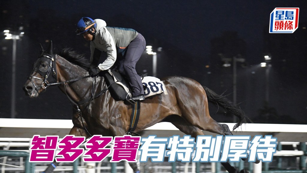 昨朝「智多多宝」出跳指定马伕拖出拖入获特别厚待。
