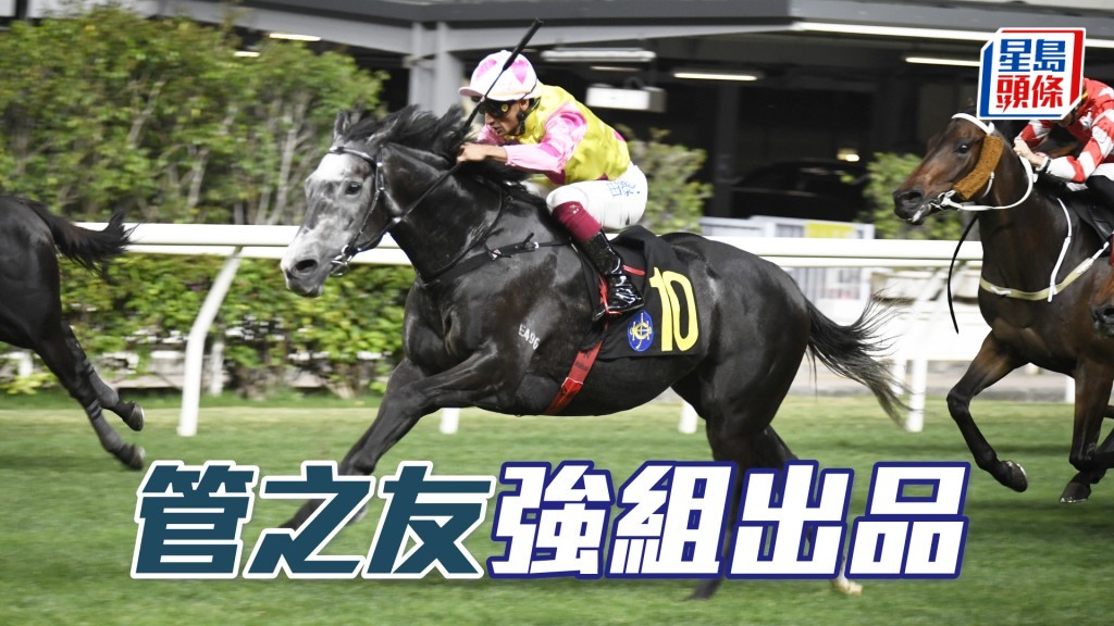 「管之友」上仗水準高更造最快末段，不容錯過。