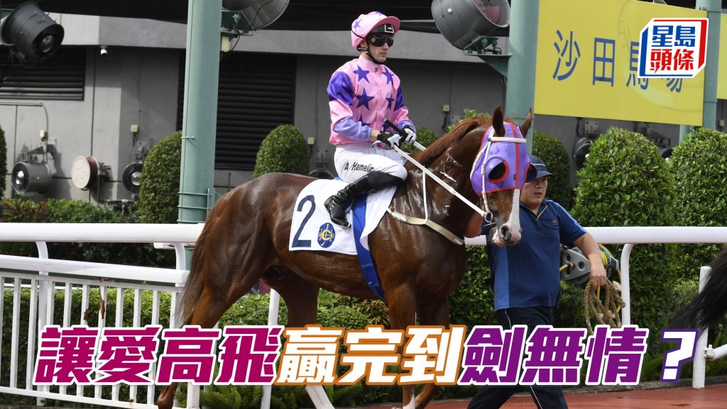 許坤華、劉學倫等AA84團體馬主們希望乘勝追擊，贏完「讓我高飛」，再贏「劍無情」(圖)。