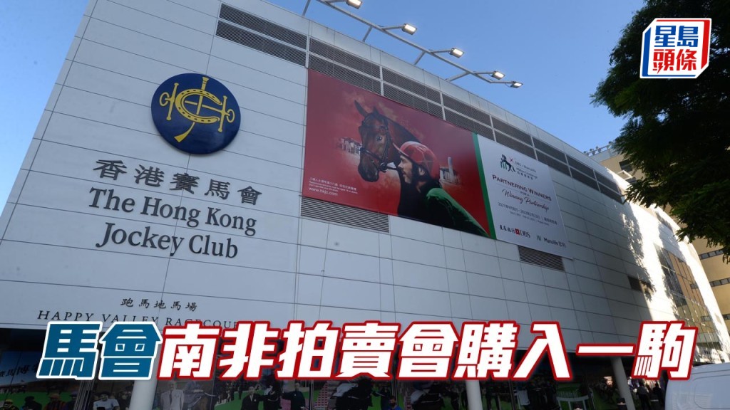 馬會在南非Cape Racing 2026年精選周歲馬拍賣會購入一駒