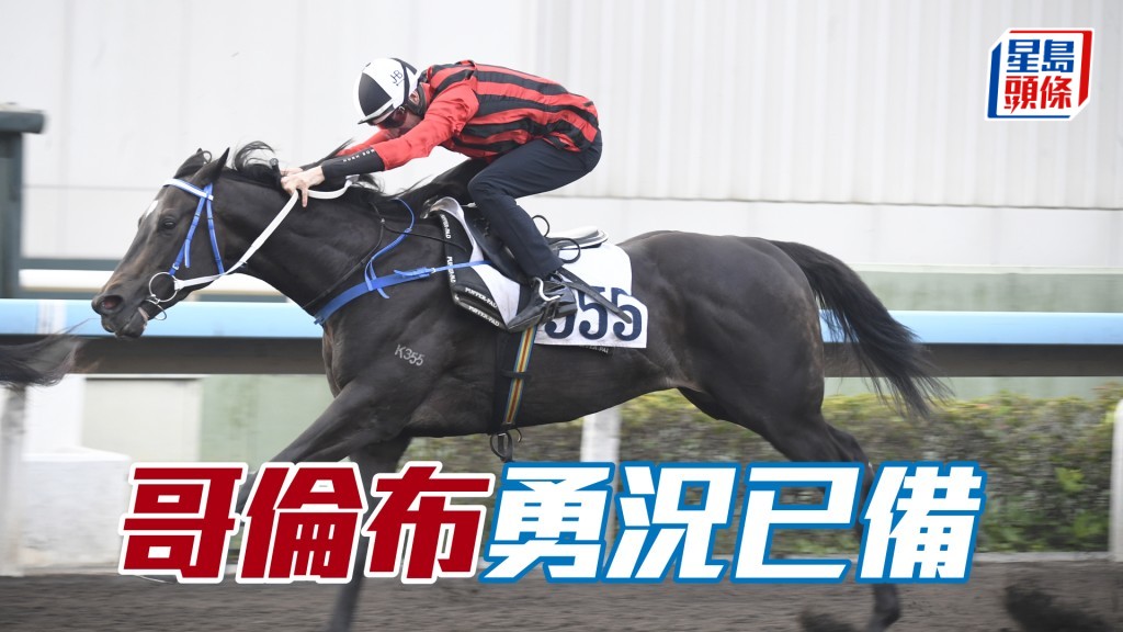 「哥倫布」神態輕鬆展現朝氣，落腳輕富彈力。