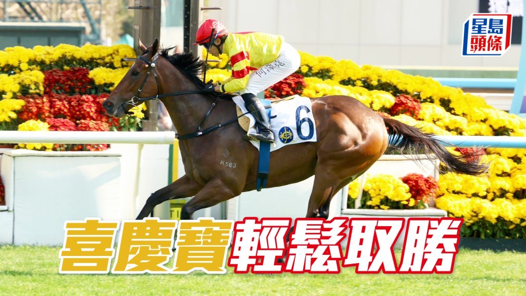 「喜庆宝」轻松取胜