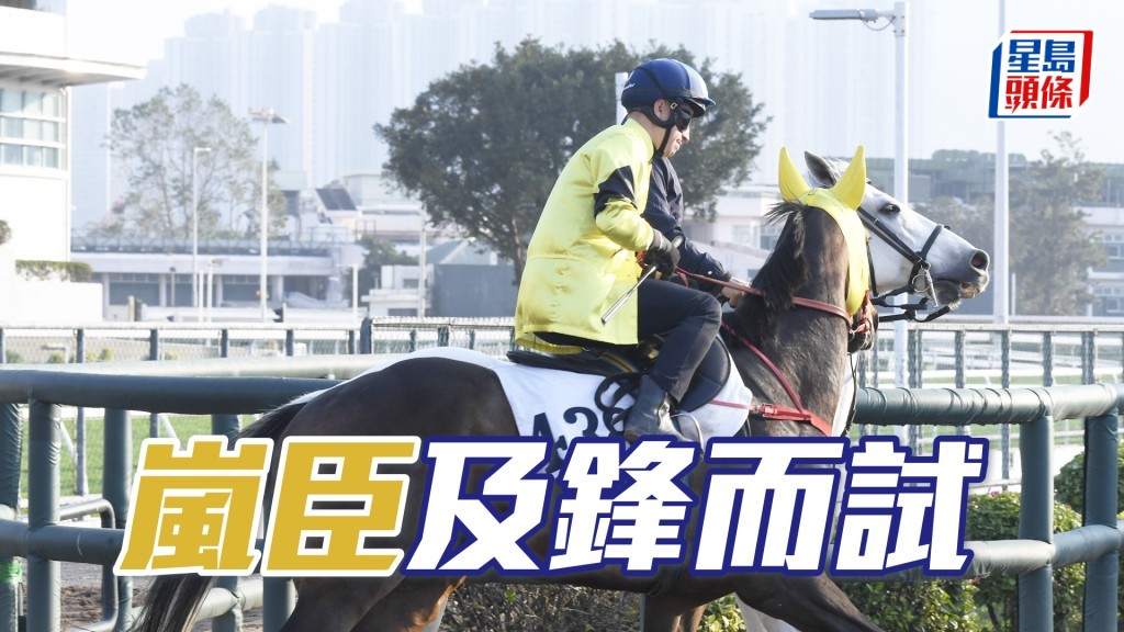 「嵐臣」步順輕巧神態暢旺，暗火展現馬身又靚。