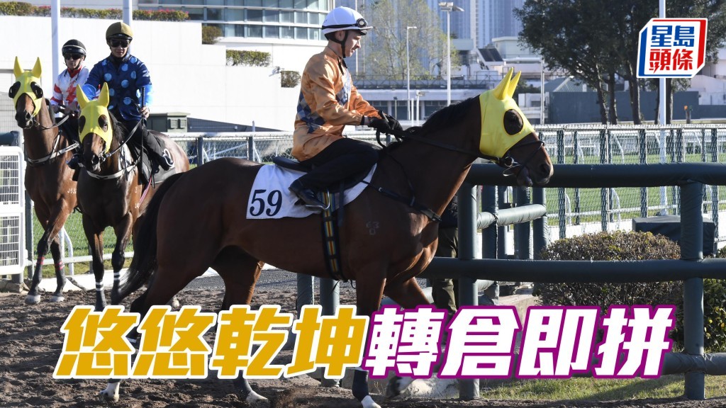  现时「悠悠乾坤」(图) 的评分辗转比上季同程时已减去十六分，加上转由桂福特新接手，有变数下随时可以出冷。