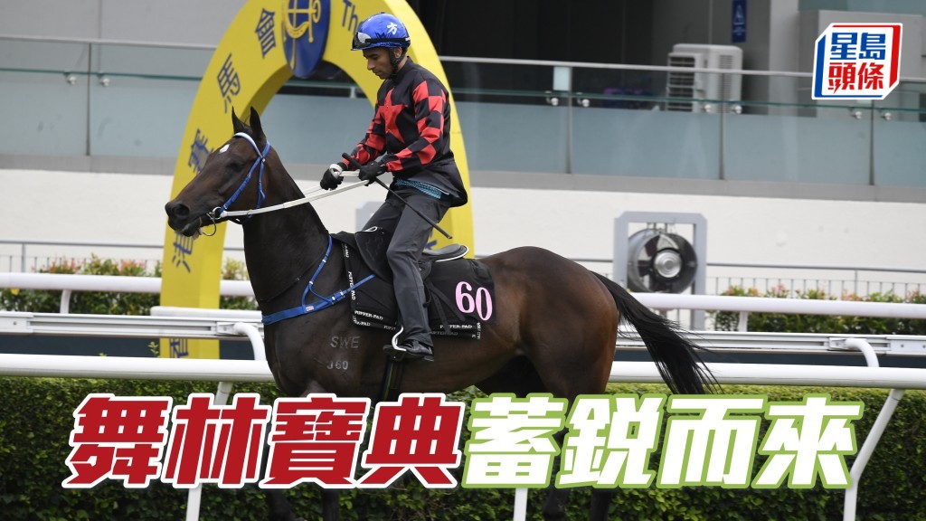 郭富城愛駒「舞林寶典」蓄銳而來
